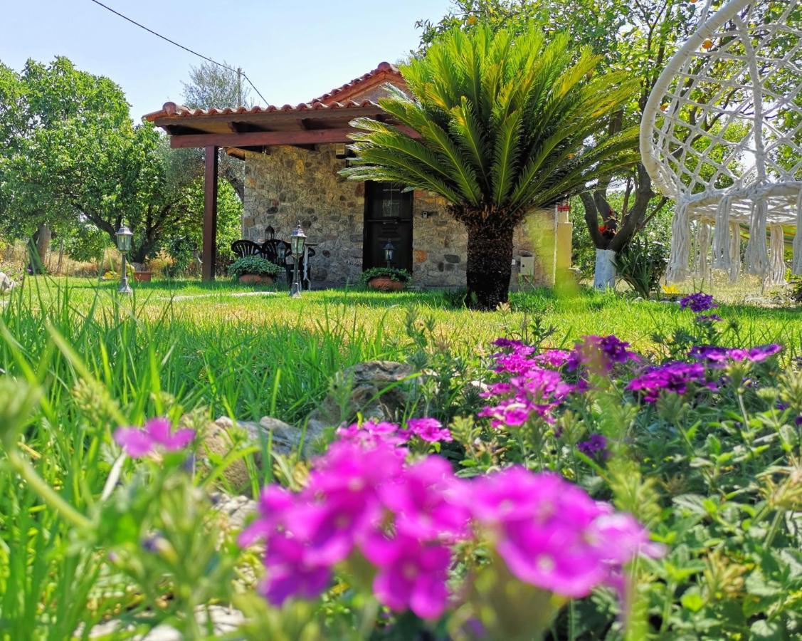 Paralía Patras Stonehouse With Large Yard - Πέτρινο Σπίτι Με Αυλήヴィラ エクステリア 写真